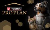 Gutscheine von purina_de